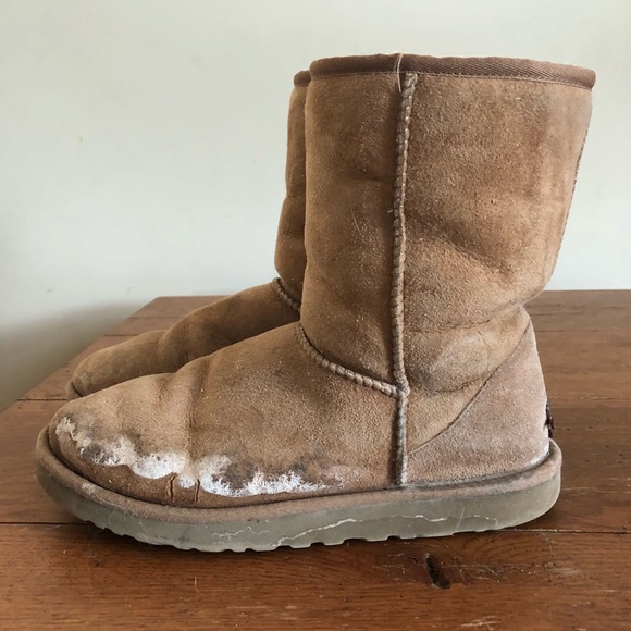 Ugg boots - chestnut - Picture 4 of 5